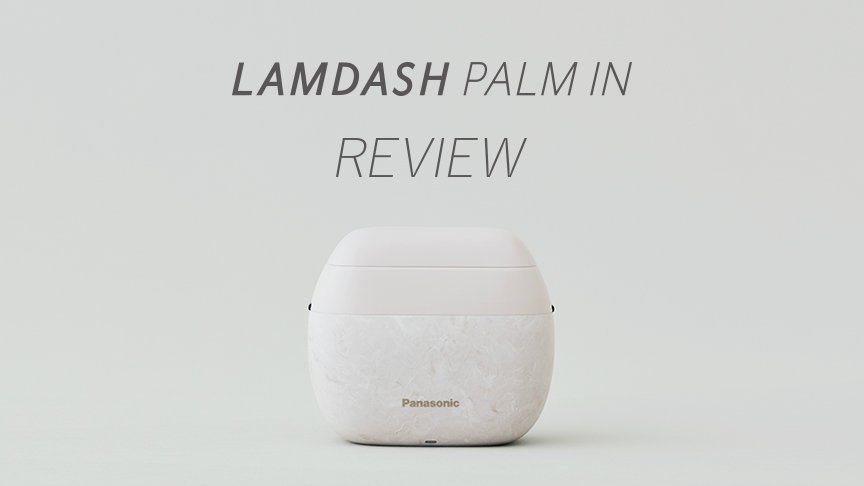 LAMDASH PALM IN REVIEW