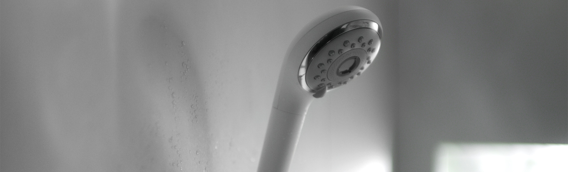 altテキストが入ります