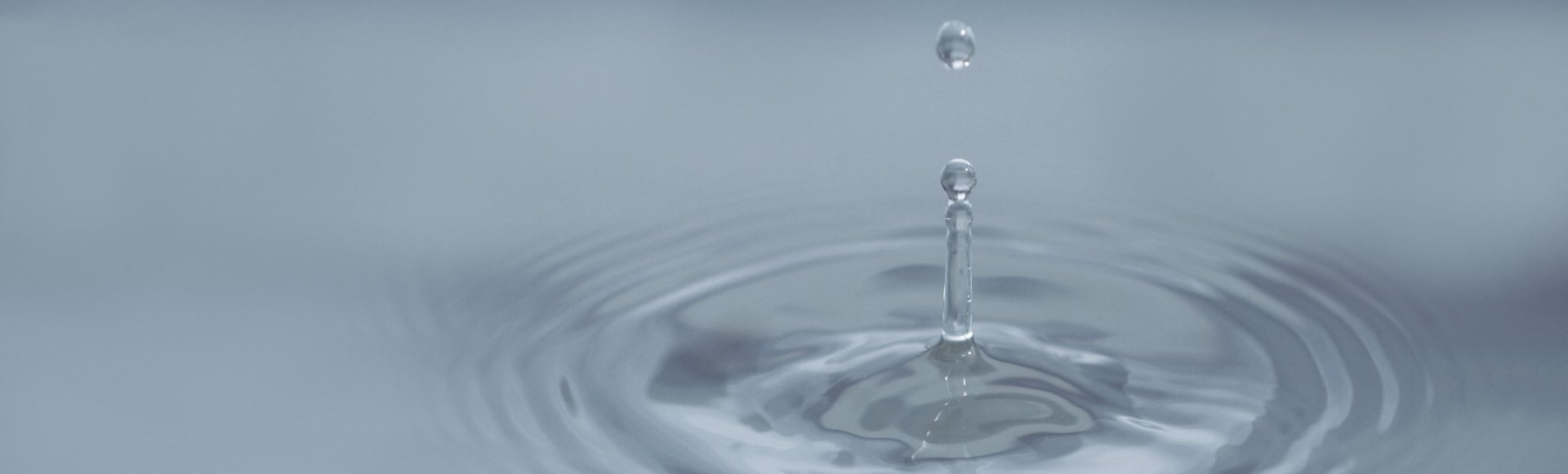 altテキストが入ります