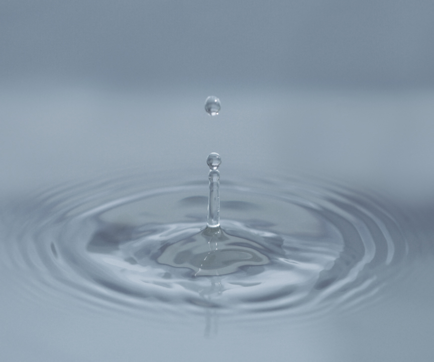 altテキストが入ります