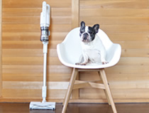 もうペットの毛で悩まない。「からまないブラシ」で快適ペットライフ