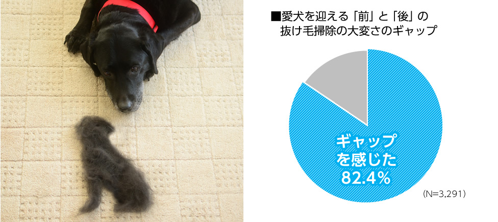 左：黒いラブラドールレトリーバーの親子。右：愛犬を迎える「前」と「後」の抜け毛掃除の大変さのギャップのグラフ。ギャップを感じたのは82.4％（N=3,291）