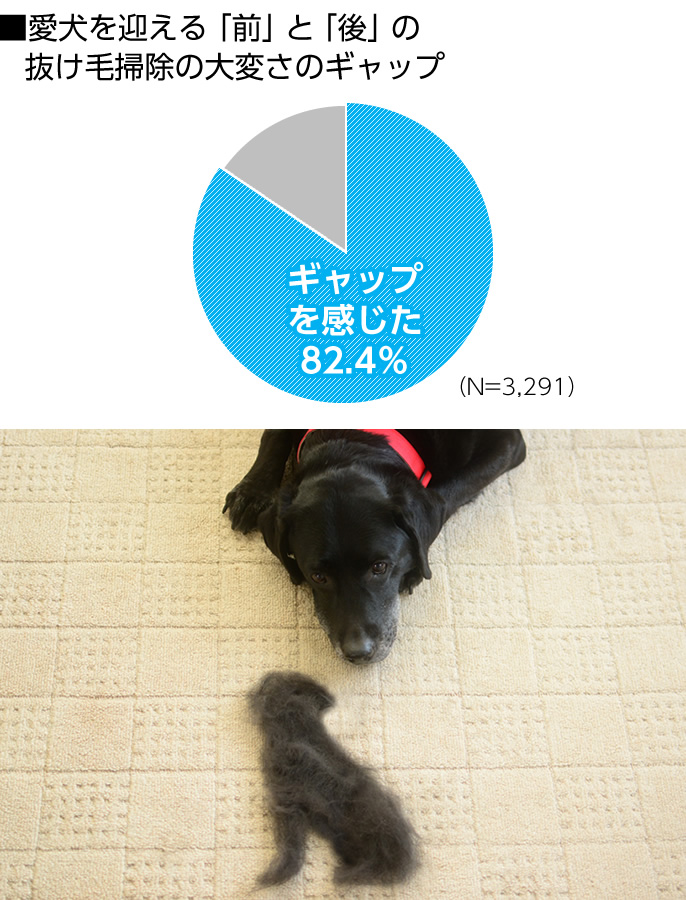 左：黒いラブラドールレトリーバーの親子。右：愛犬を迎える「前」と「後」の抜け毛掃除の大変さのギャップのグラフ。ギャップを感じたのは82.4％（N=3,291）