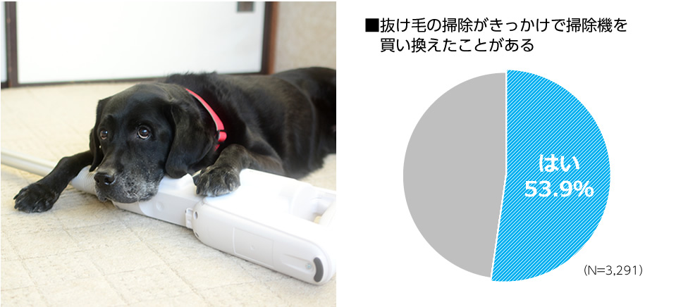 左：パワーコードレス掃除機の顎をのせてうつぶせているラブラドールレトリーバー。右：抜け毛の掃除がきっかけで掃除機を買い換えたことがあるの質問に「はい」と答えた人は53.9％（N=3,291）