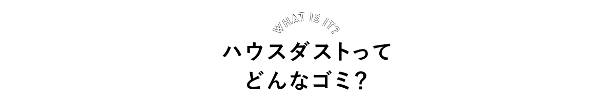 ハウスダストってどんなゴミ？