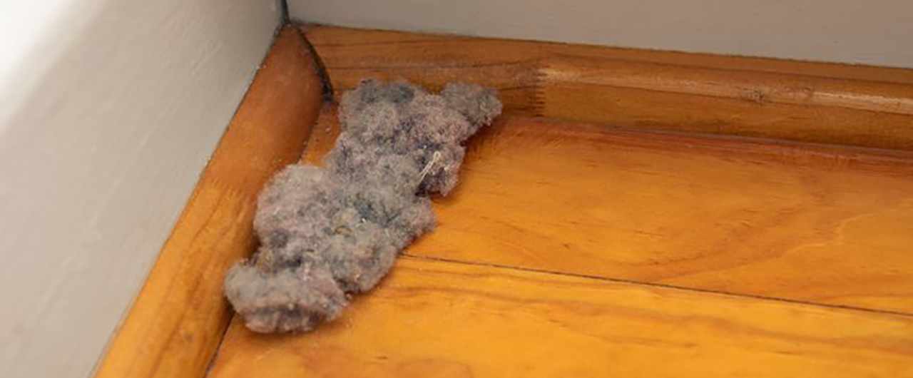 写真：掃除機の吸引力