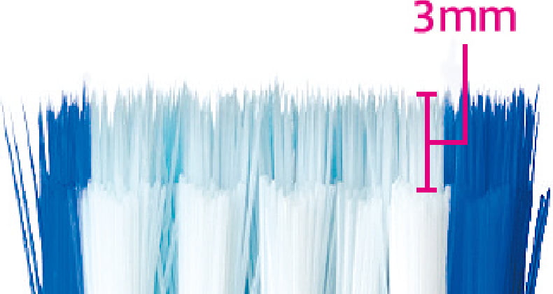 写真：毛先の段差3mm