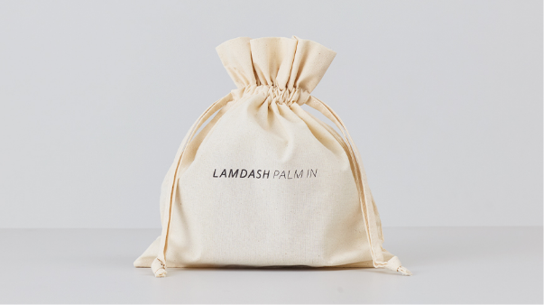 写真：ラムダッシュ パームイン