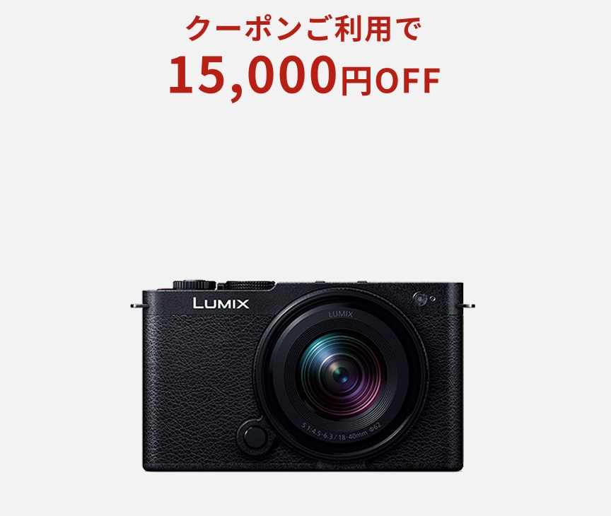 デジタル一眼カメラ/レンズキット DC-S9N-K