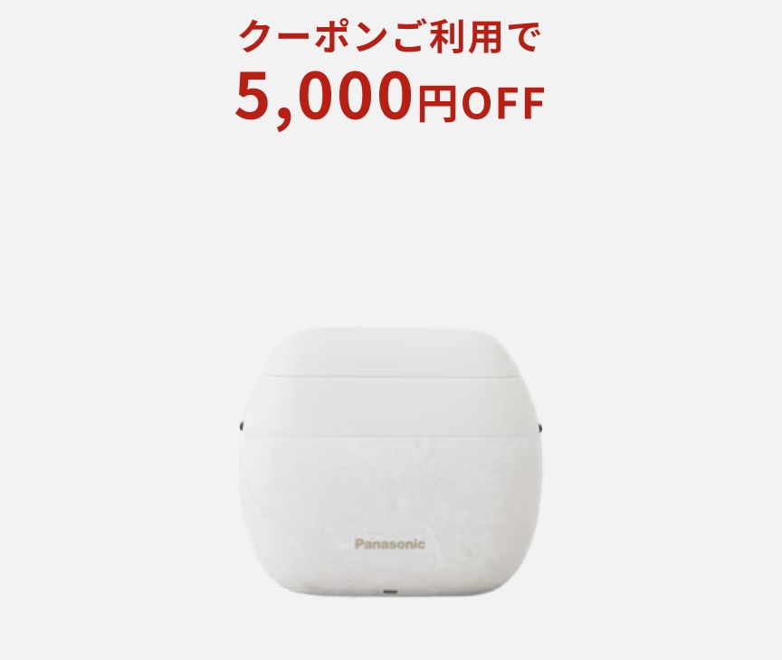 ラムダッシュ パームイン ES-PV6A-W