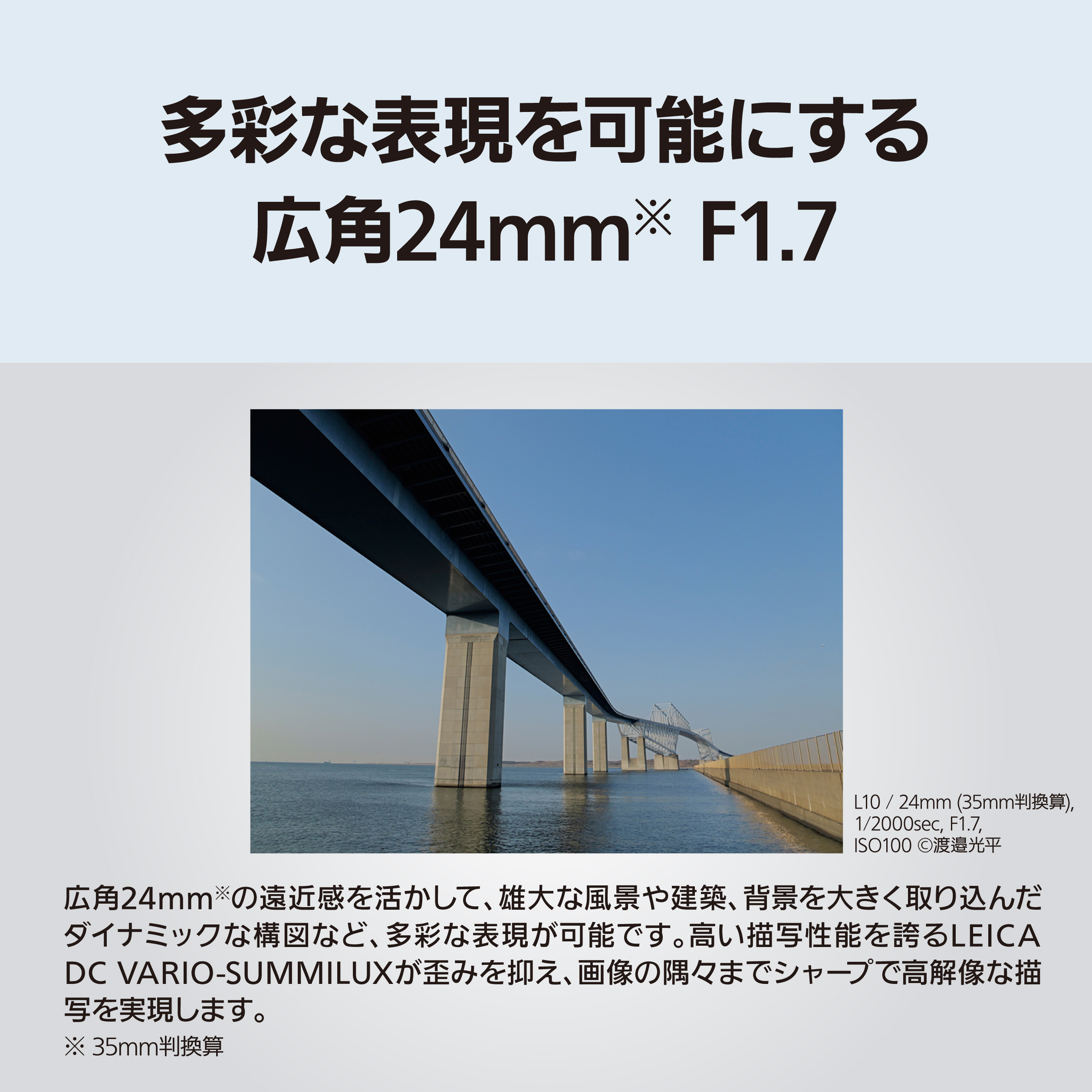 デジタルカメラ DC-L10-N