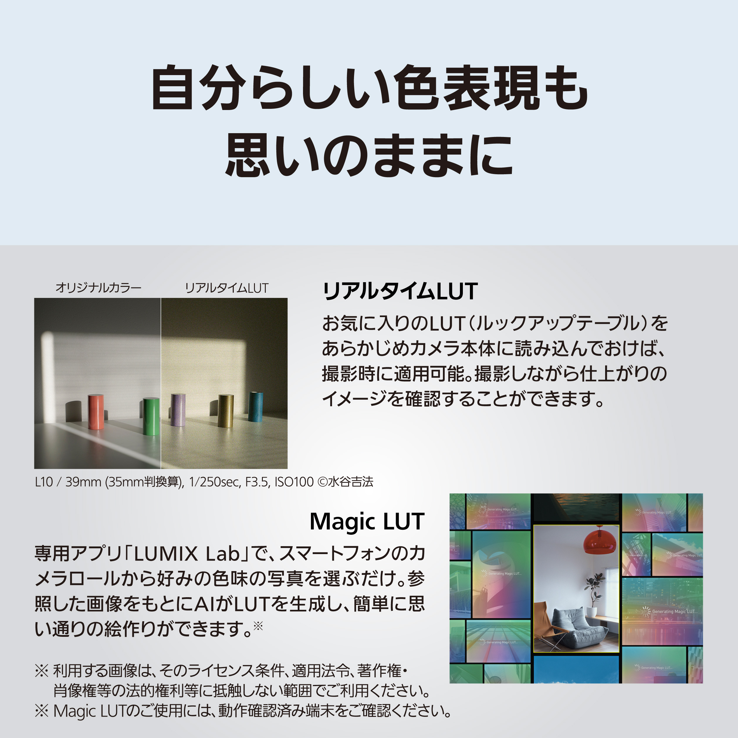 デジタルカメラ DC-L10-N