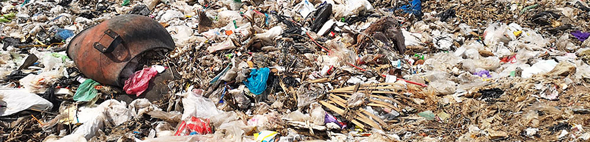 画像：売上の一部を環境保護活動に寄付