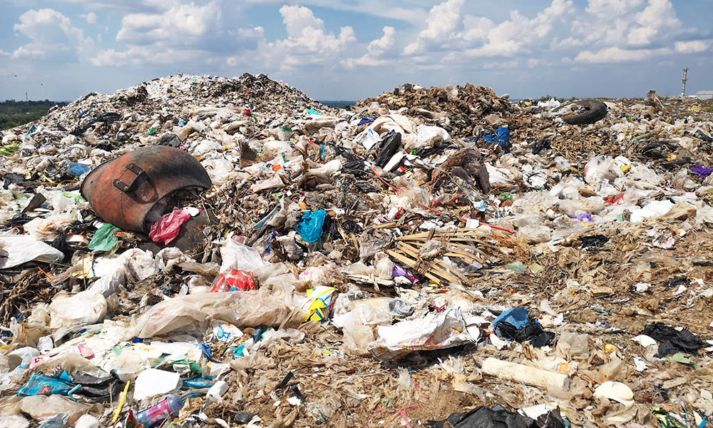 画像：売上の一部を環境保護活動に寄付