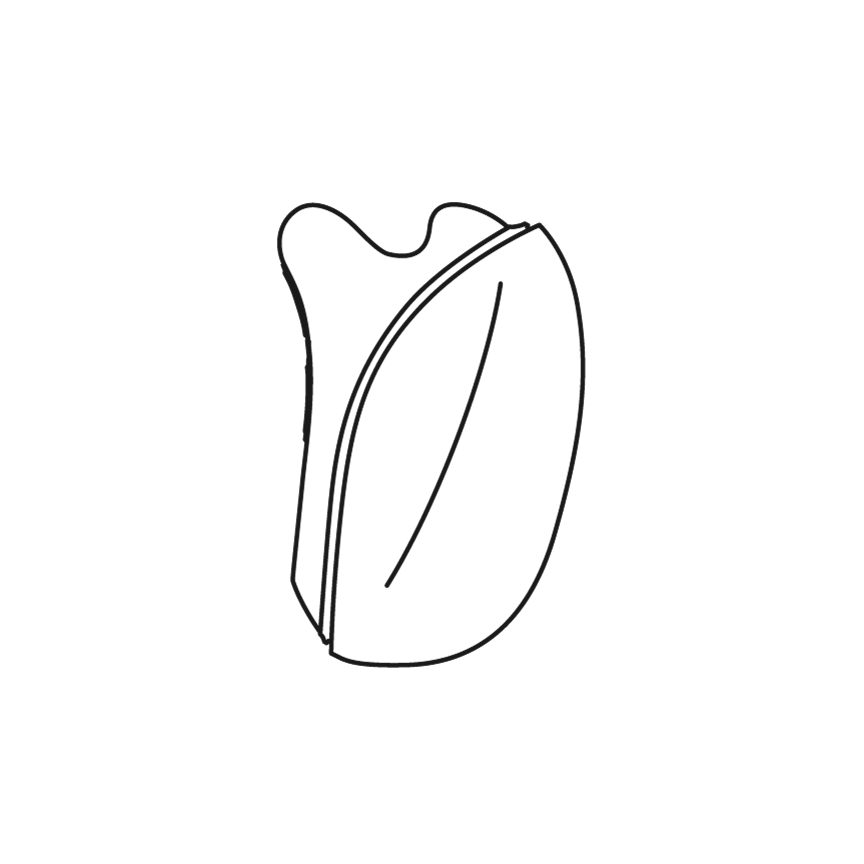 最新の美容家電を使ってみたい