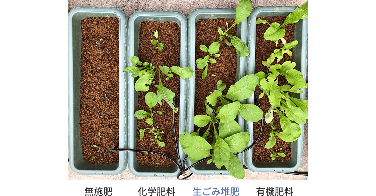 写真：家庭菜園の肥料にも効果的