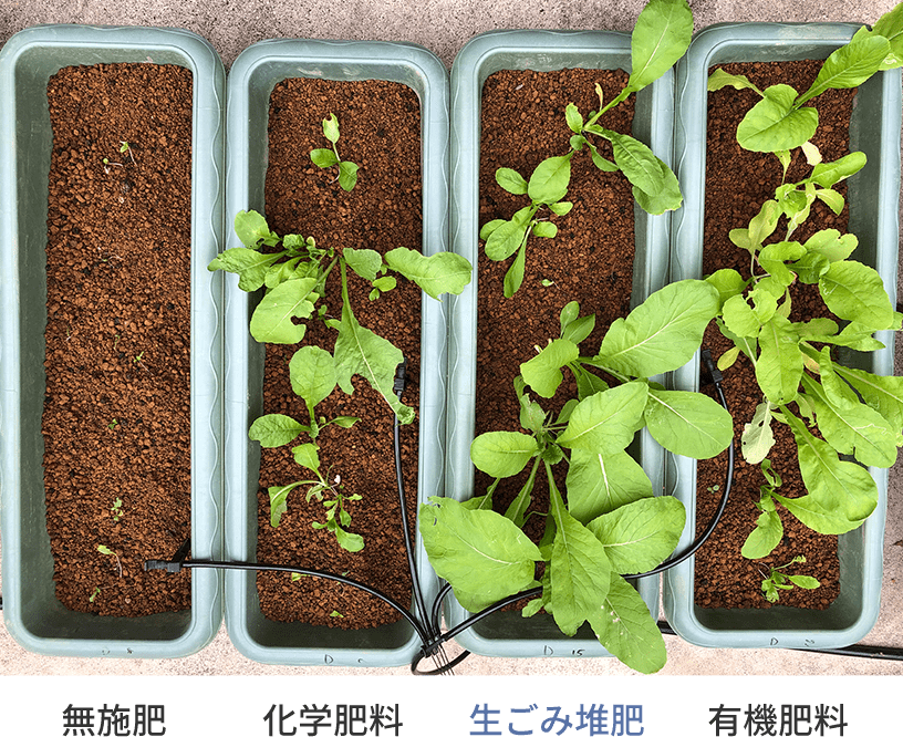 写真：家庭菜園の肥料にも効果的