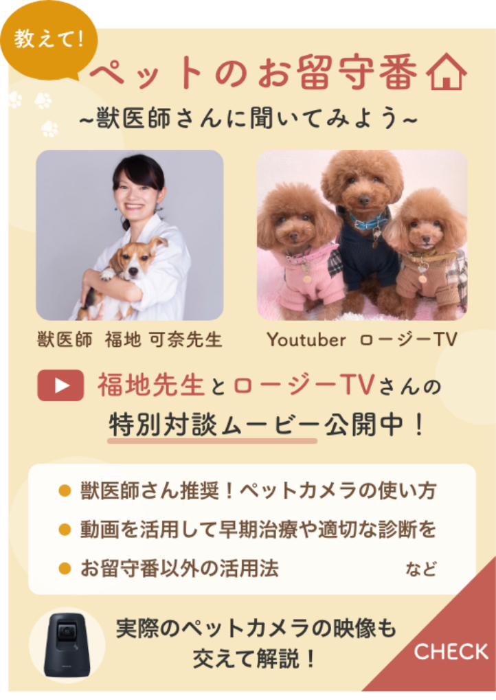 教えて！ペットのお留守番