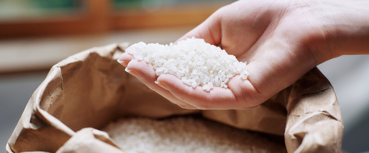 写真：米を手ですくうようす