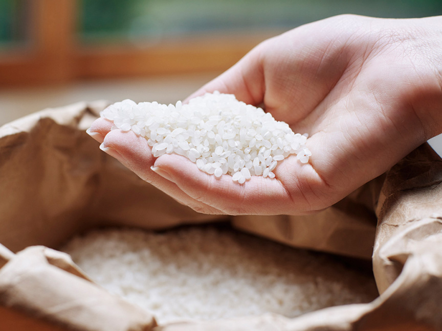 写真：米を手ですくうようす