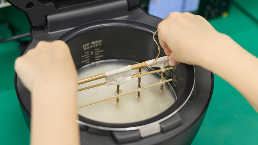 写真：炊飯器と温度測定装置
