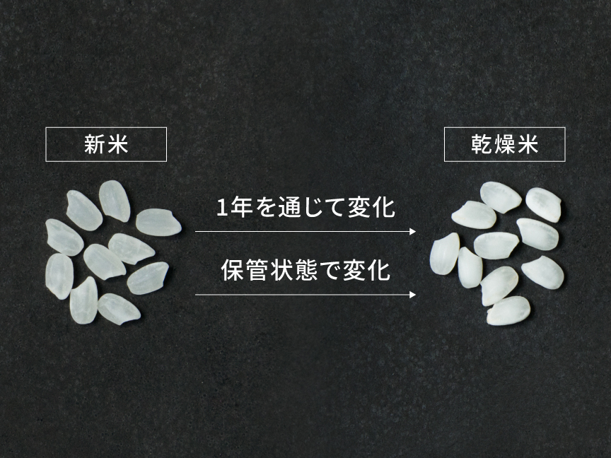 新米から乾燥米への変化を説明した画像です。1年を通じて保管状態で新米から乾燥米に変化します。