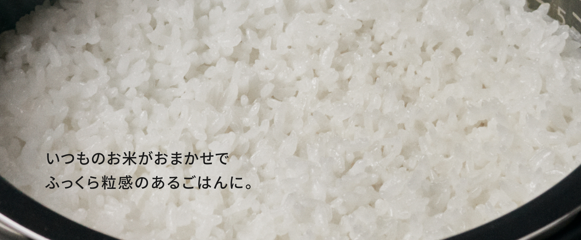 ビストロ匠技AIのイメージ画像です。お米に合わせて炊き方を自動調整。
