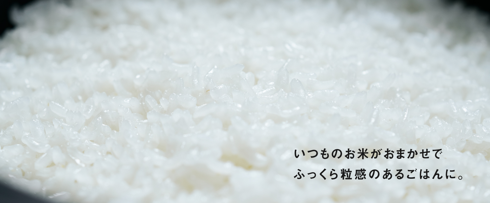 ビストロ匠技AIのイメージ画像です。いつものお米がおまかせで、ふっくら粒感のあるごはんに。