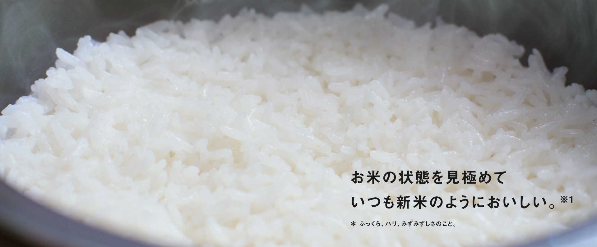 ビストロ匠技AIのイメージ画像です。お米の状態を見極めて、いつも新米のようにおいしい。※1　＊ふっくら、ハリ、みずみずしさのこと。