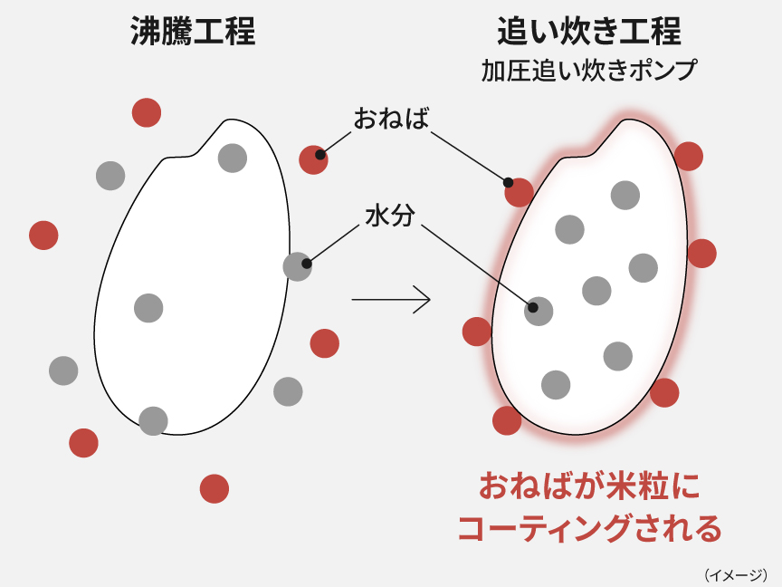 画像：沸騰工程で出る「おねば」が、追い炊き工程で米粒をコーティングするイメージ