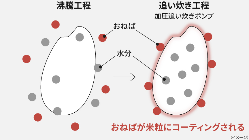 画像：沸騰工程で出る「おねば」が、追い炊き工程で米粒をコーティングするイメージ