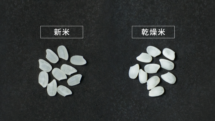 乾燥米と新米の色の比較画像です。右の新米は水分に満ちて透き通っています。