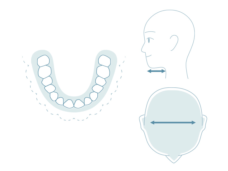日本人の頭部と歯のイメージ