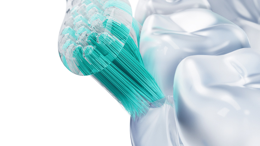 毛先が歯周ポケットに入り込むようにあてるイメージ