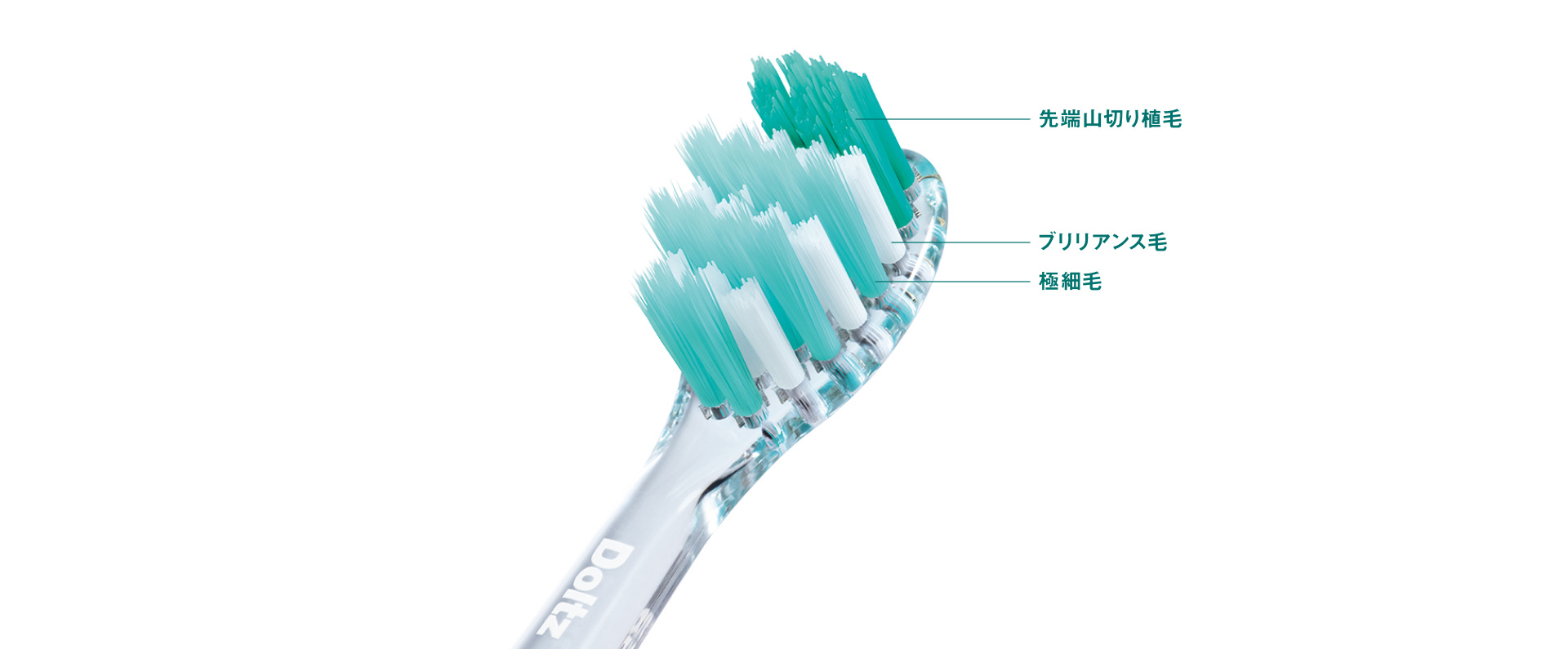 Doltz歯ブラシの毛の種類を示す図：先端山切り植毛 ブリリアンス毛 極細毛