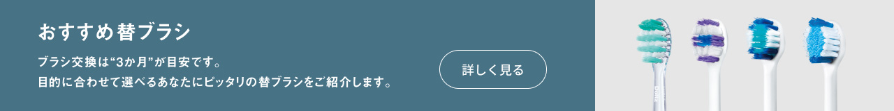 おすすめ替ブラシ　ブラシの交換は3か月が目安です。目的に合わせて選べるあなたにピッタリの替ブラシをご紹介します。　詳しく見る