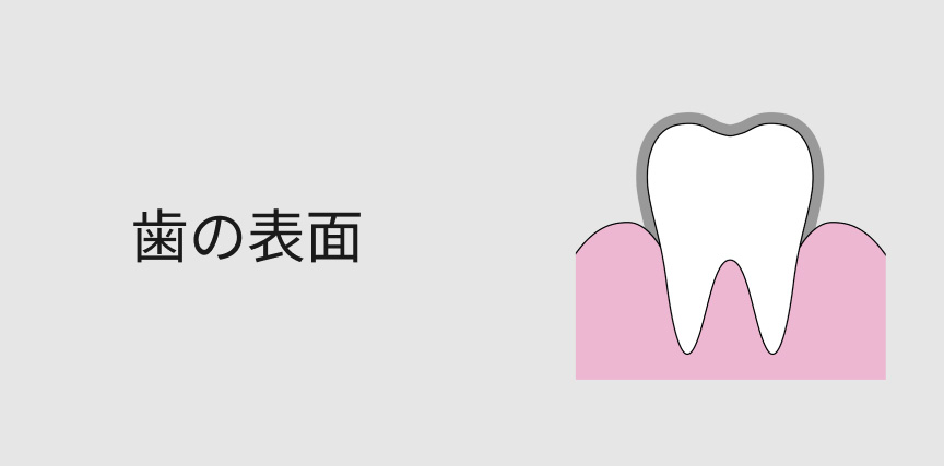 歯の表面