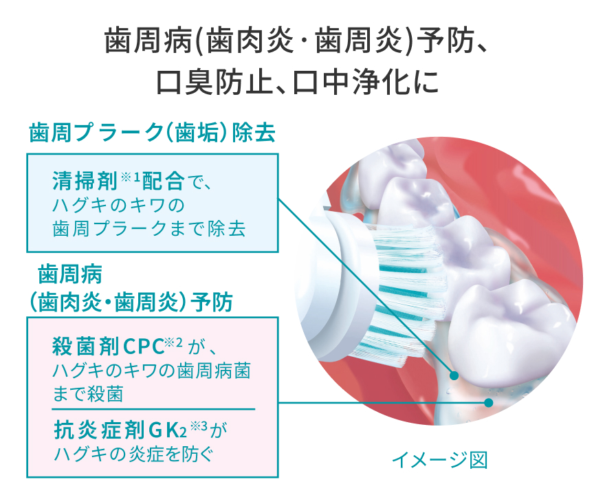 歯周病（歯肉炎・歯周炎）予防、口臭防止、口中浄化に 歯周プラーク（歯垢）除去 清掃剤※1配合で、ハグキのキワの歯周プラークまで除去 歯周病（歯肉炎・歯周炎）予防 殺菌剤CPC※2が、ハグキのキワの歯周病菌まで殺菌 抗炎症剤GK₂※3が、ハグキの炎症を防ぐ イメージ図