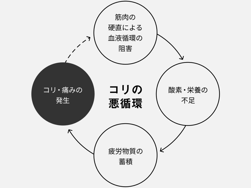 コリの悪循環　筋肉の硬直による血液循環の阻害　酸素・栄養の不足　疲労物質の蓄積　コリ・痛みの発生