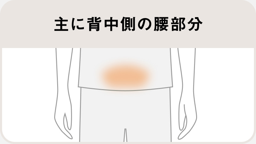 主に背中側の腰部分