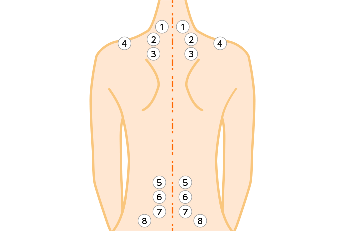 ①首の付け根 ②肩の付け根 ③肩上部（内側） ④肩上部（外側） ⑤ウエスト背面（上側） ⑥ウエスト背面（下側） ⑦おしりの上部 ⑧おしりの上部（左右）
