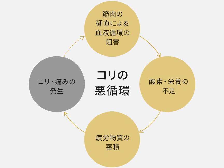 コリの悪循環　筋肉の硬直による血液循環阻害→酸素・栄養の不足→疲労物質の蓄積→コリ・痛みの発生