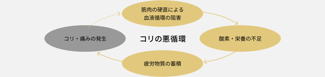 コリ・痛みの発生 筋肉の硬直による血液循環の阻害 酸素・栄養の不足 疲労物質の蓄積 コリの悪循環