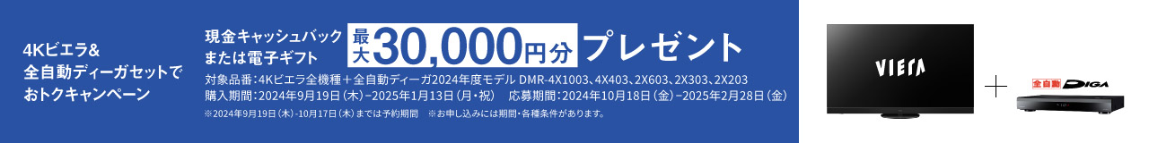 4Kビエラ&全自動ディーガセットでおトクキャンペーン