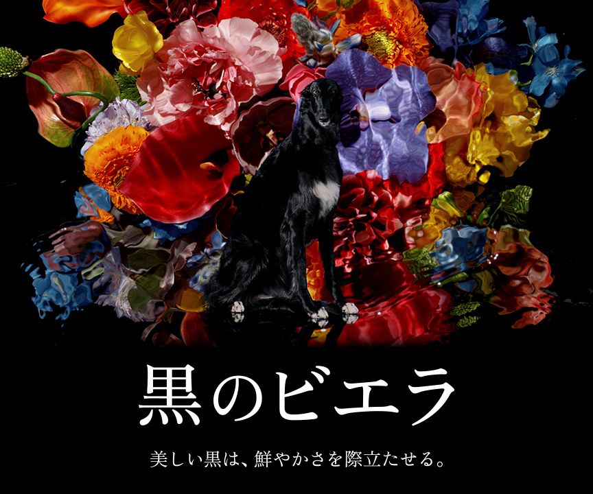 黒のビエラ　美しい黒は、鮮やかさを際立たせる。