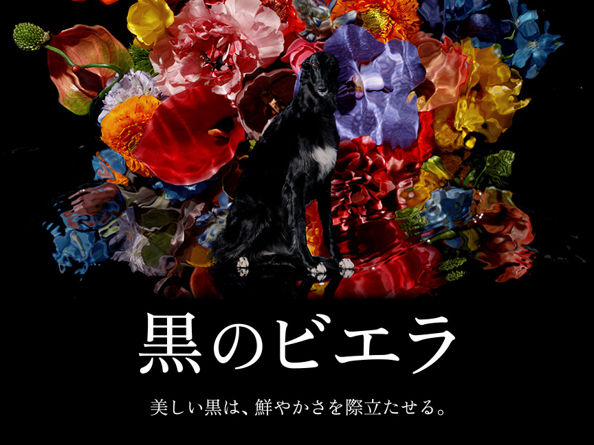 4K液晶・有機ELテレビ ビエラ | 比較表 | Panasonic