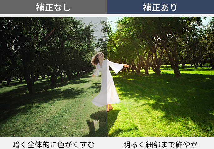 適応型色補正の有無の比較