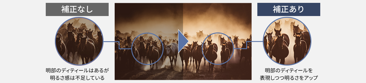 ［微細ブロック階調補正］