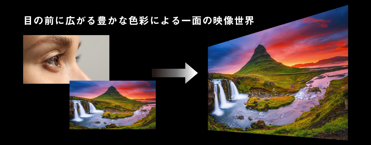 目の前に広がる豊かな色彩による 一面の映像世界