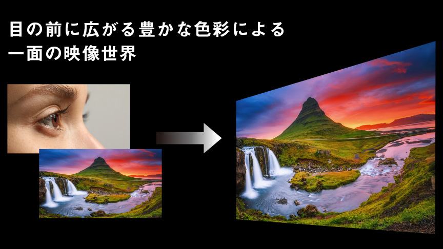 目の前に広がる豊かな色彩による 一面の映像世界